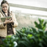 Defra switching from paper to online forms