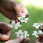 Defra tests new framework to assess digital services for sustainability