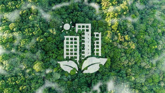 GreenOps: the public sector's next efficiency opportunity